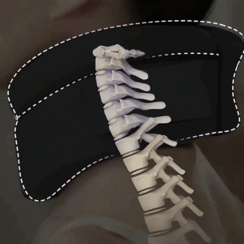 Vitavix Neck Support (official Retailer) 2025